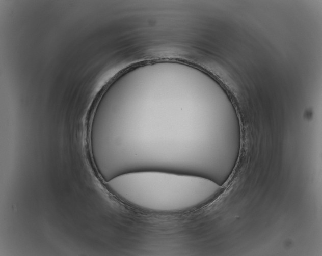 X0000097631031200802290839