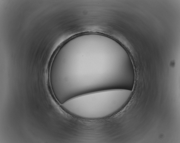 X0000097631032200802290839