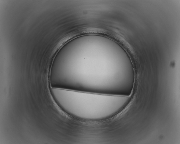 X0000097631033200802290839