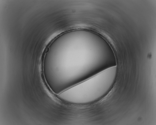 X0000097631034200802290839