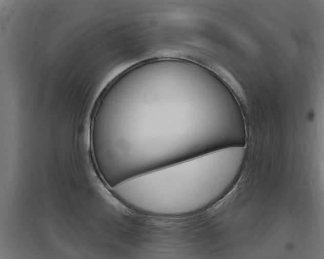 X0000097631036200802290839