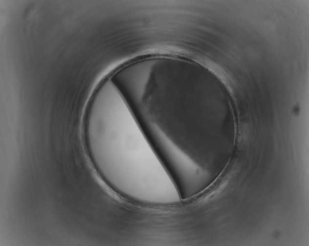 X0000097631037200802290839