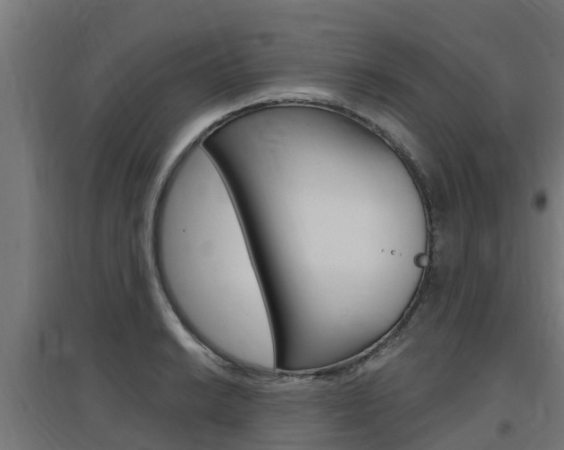 X0000097631038200802290839