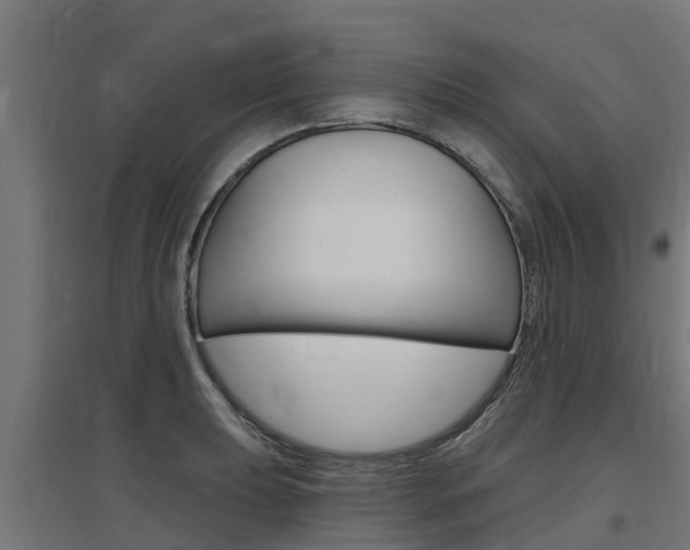 X0000097631039200802290839