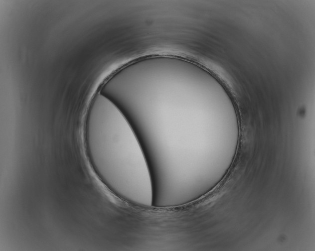 X0000097631040200802290839
