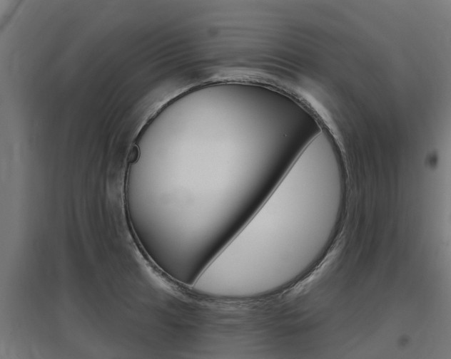 X0000097631041200802290839