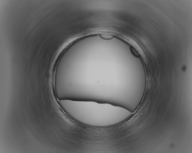 X0000097631043200802290839
