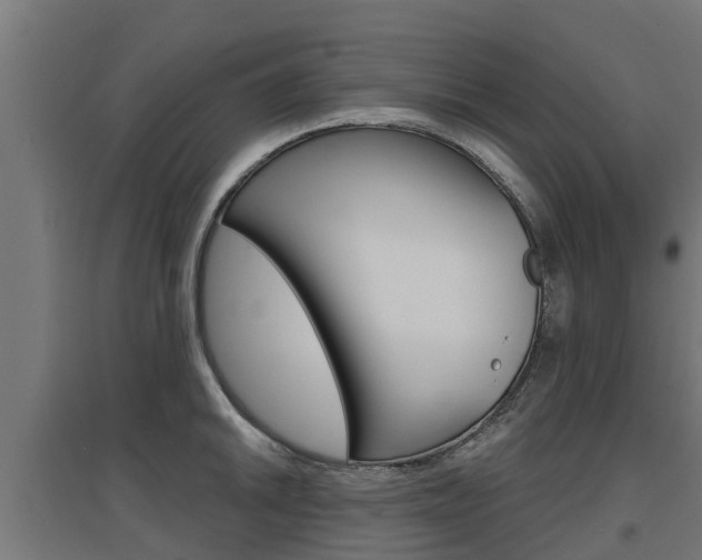 X0000097631046200802290839