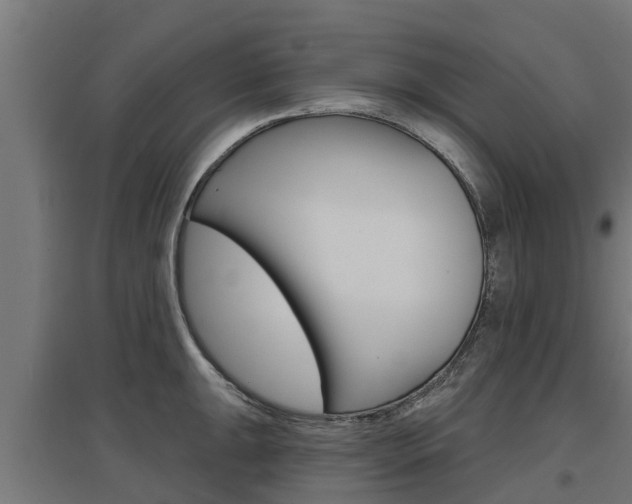 X0000097631047200802290839