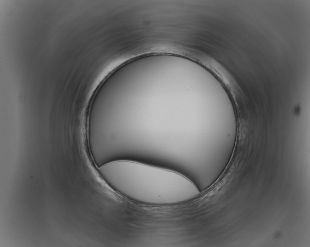 X0000097631048200802290839