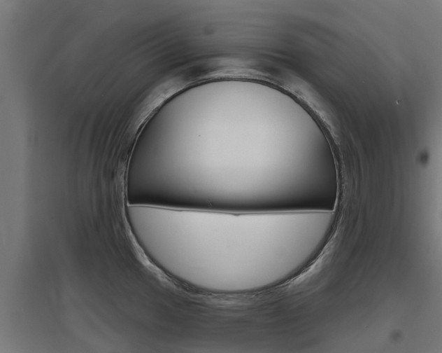 X0000097631049200802290839