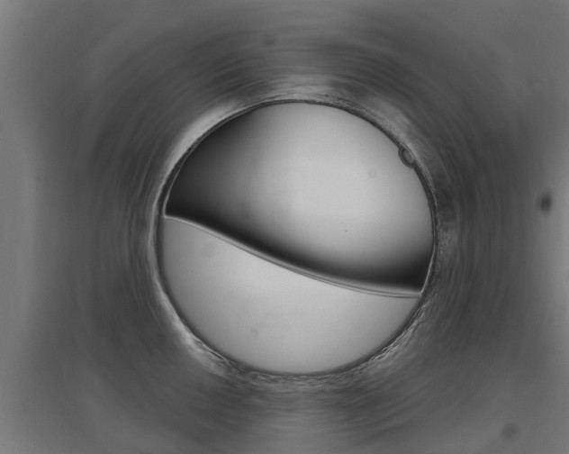 X0000097631050200802290839