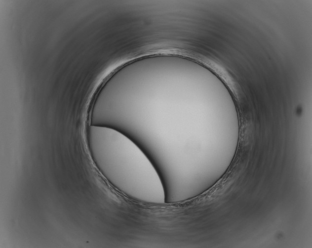 X0000097631051200802290839