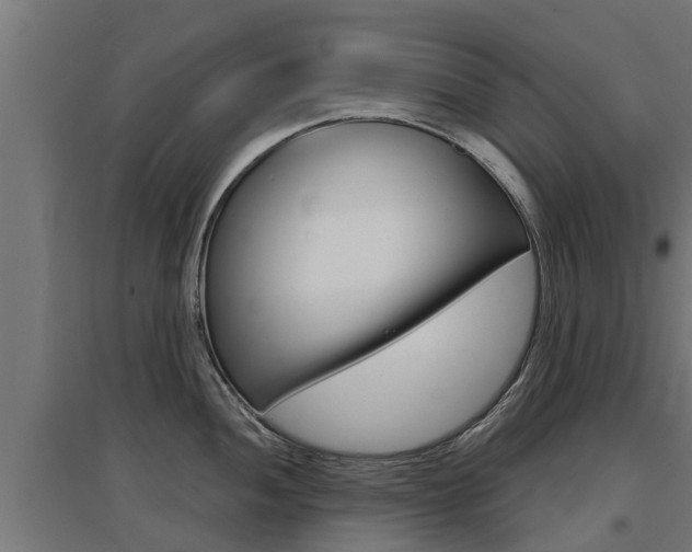 X0000097631052200802290839