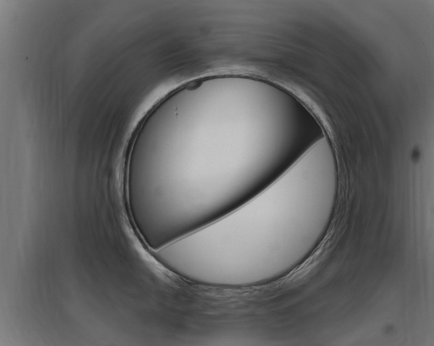 X0000097631054200802290840