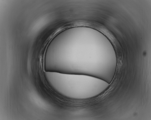 X0000097631055200802290840
