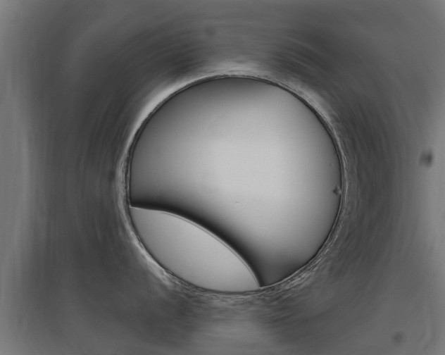 X0000097631056200802290840