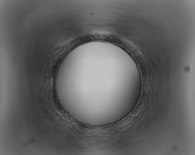 X0000097631061200802290838