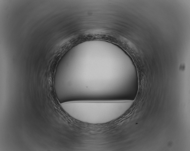 X0000097631062200802290838