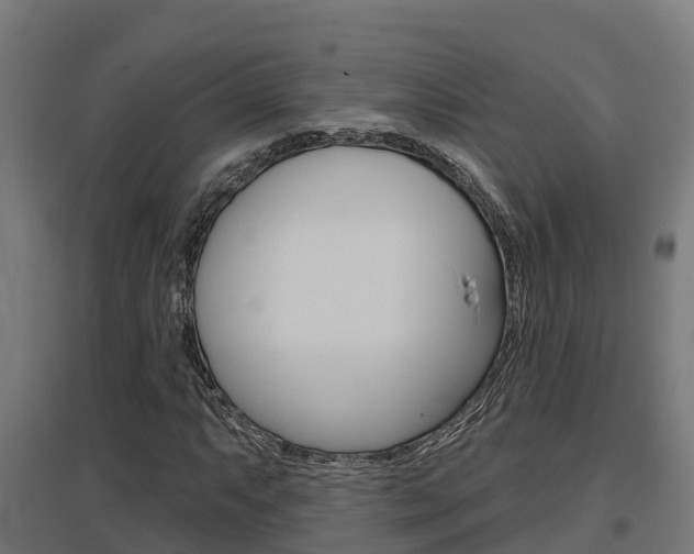 X0000097631063200802290838