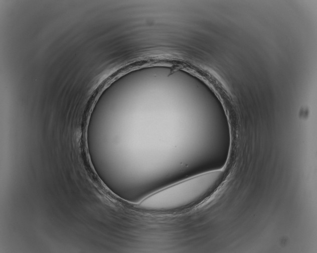 X0000097631065200802290838