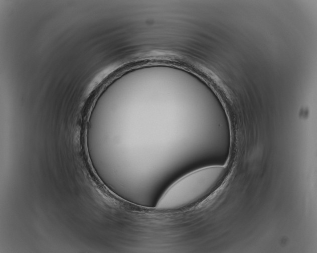 X0000097631066200802290838