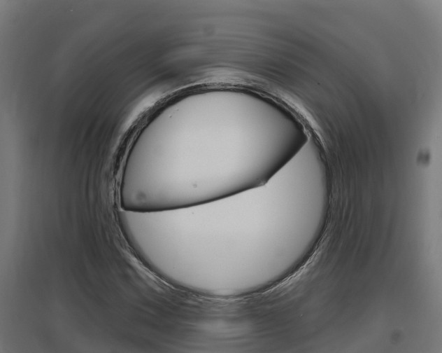 X0000097631067200802290838