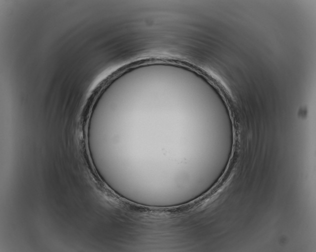 X0000097631070200802290838