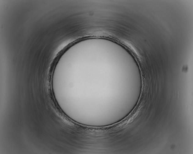 X0000097631071200802290838