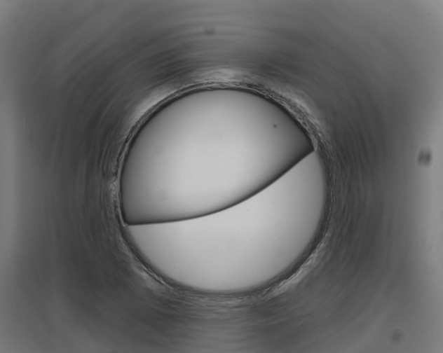 X0000097631073200802290838