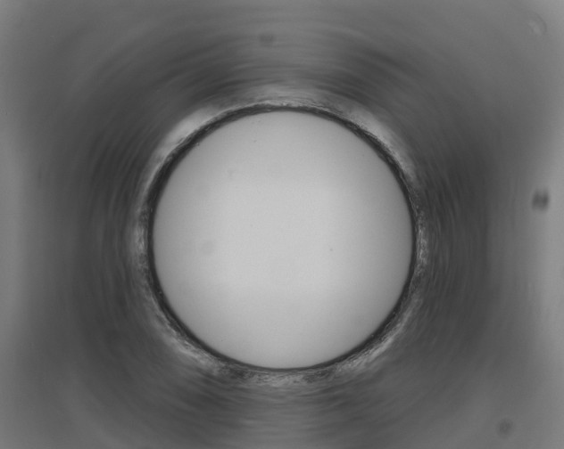 X0000097631074200802290838
