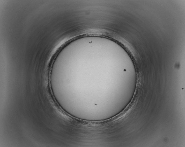 X0000097631075200802290838