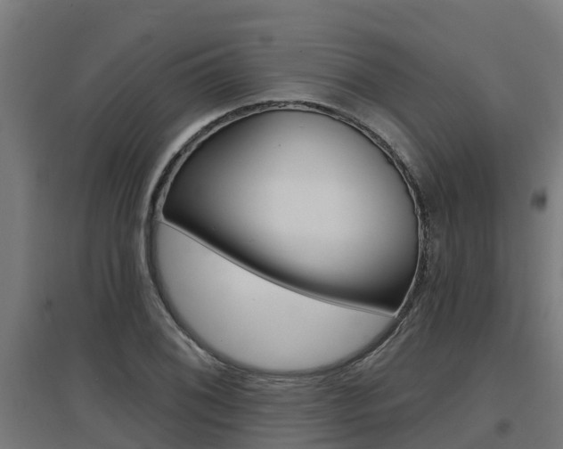 X0000097631076200802290838