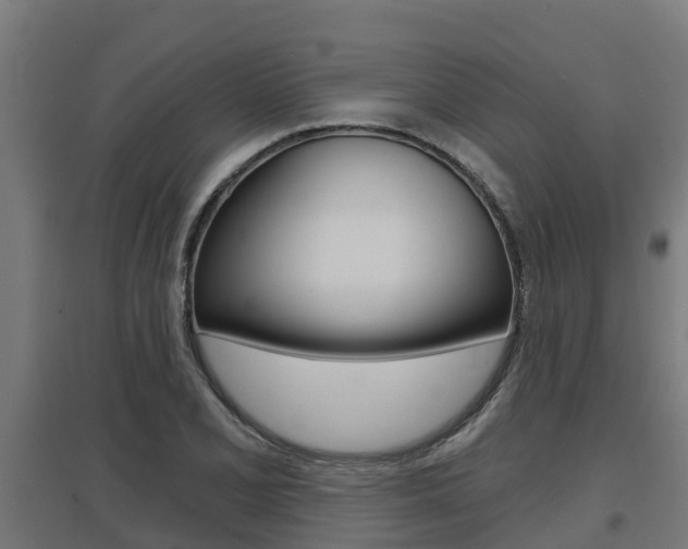 X0000097631077200802290838