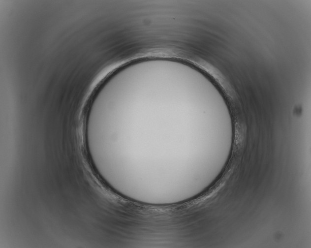 X0000097631078200802290838