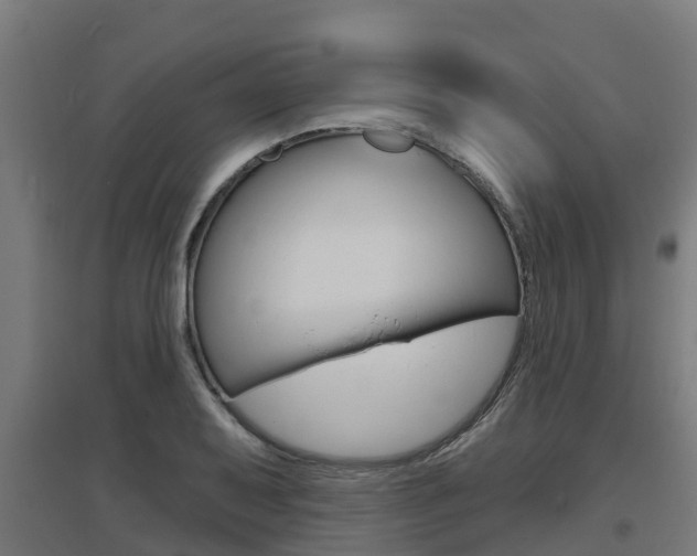 X0000097631079200802290838