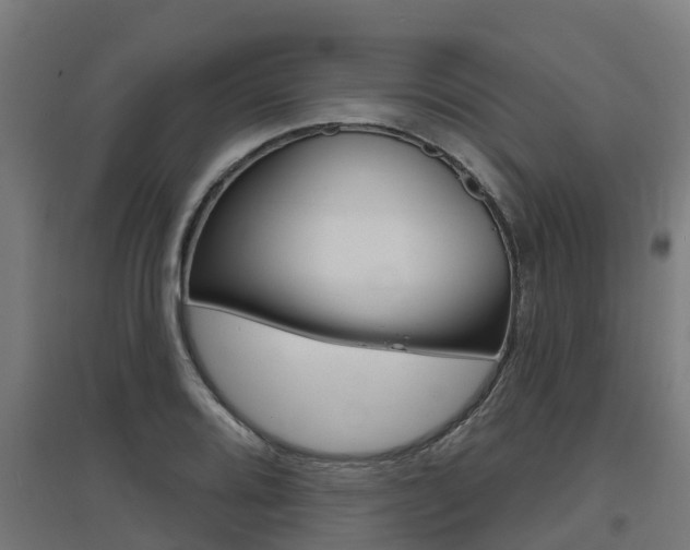 X0000097631080200802290838