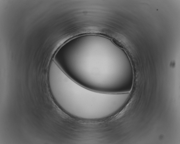 X0000097631081200802290838