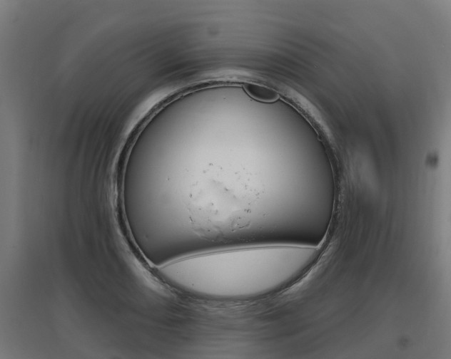 X0000097631082200802290838