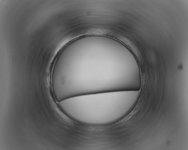 X0000097631083200802290838