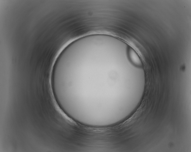 X0000097631084200802290838