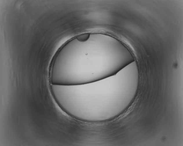X0000097631087200802290838