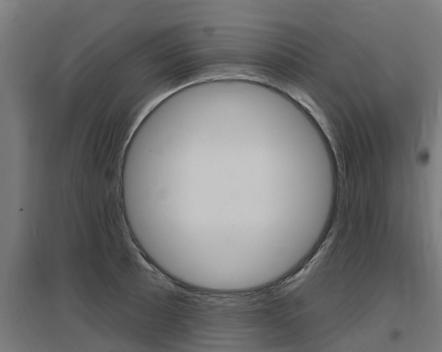 X0000097631089200802290838