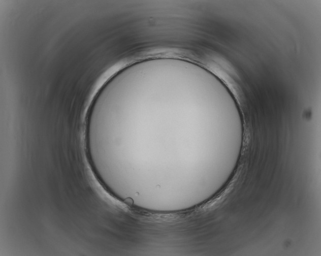 X0000097631090200802290838