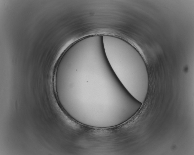 X0000097631091200802290838