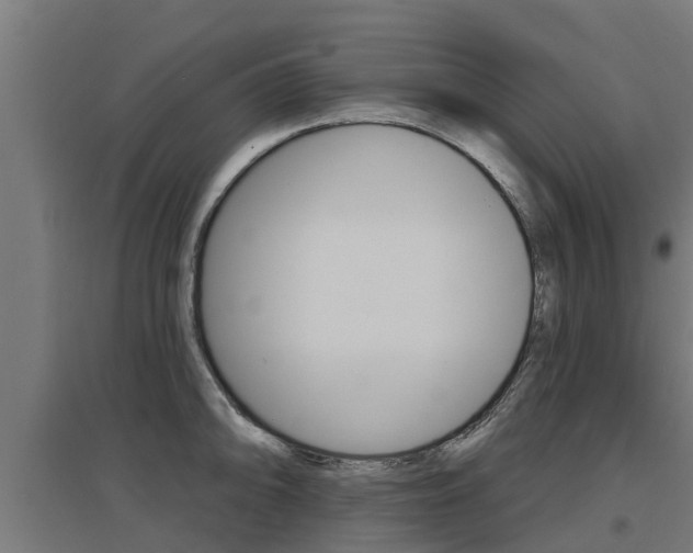 X0000097631094200802290838
