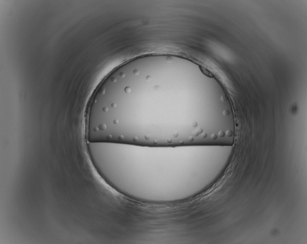 X0000097631095200802290838