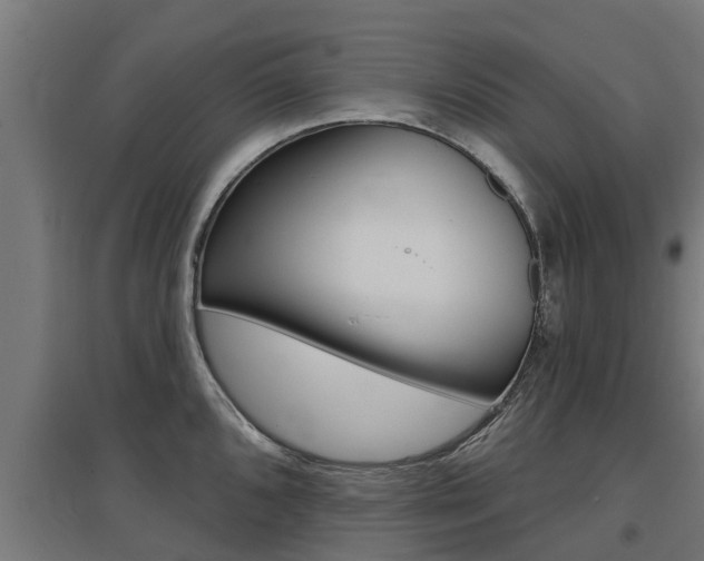 X0000097631096200802290838