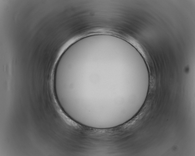 X0000097631098200802290838