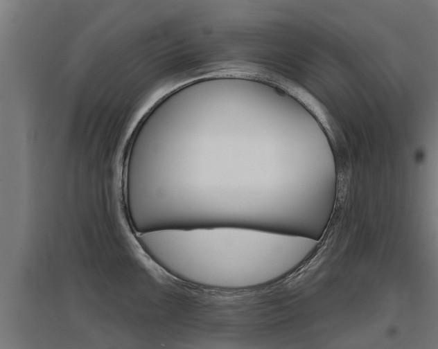 X0000097631099200802290838